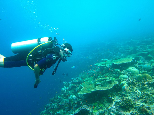 Pourquoi les plongeurs sous-marins sont soucieux de l’écologie ?